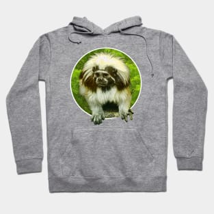 Cotton-top tamarin Hoodie